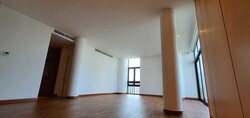 The Colonnade (D10), Condominium #355851251